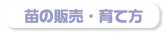 当園オススメの丈夫な苗とその育て方をご紹介
