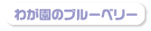 当園自慢のブルーベリーをご紹介。